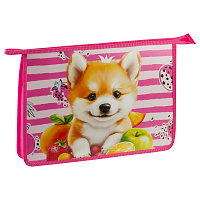 Папка для тетрадей 1 отделение, ArtSpace "Corgi", А4, пластик, на молнии
