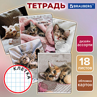 Тетрадь 18 л. BRAUBERG, клетка, обложка картон, КОТЯТА, 107292