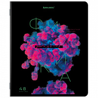 Тетрадь предметная HAZE 48л, глянцевая ламинация, ФИЗИКА, клетка, подсказ, BRAUBERG, 404768