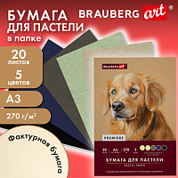 Бумага для пастели ФАКТУРНАЯ А3 в папке, 20 листов 5 цветов, 270 г/м2, BRAUBERG ART,, 117756