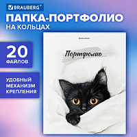 Папка-портфолио универсальная, 4 кольца, 20 файлов 10 вкладышей, 7БЦ матовая, BRAUBERG, 117557
