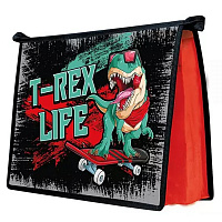 Папка для тетрадей на молнии А5 1 отделение пластик Пчелка T-REX  ПМ-А5-29