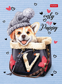 Книжка записная А6 64 листа Hatber Fashion dog Корги твёрдая обложка