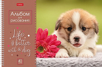 Альбом для рисования 40 листов спираль А4 Hatber Doggie Щенки  067478