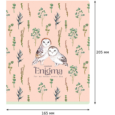 Тетрадь 96л., А5, клетка BG "White enigma", матовая ламинация