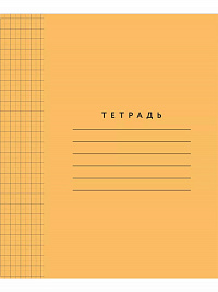 Тетрадь 12 листов  в крупную клетку 8х8 мм оранжевая обложка ( Мазина В.Д.)