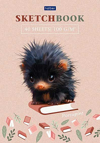 Блокнот SKETCHPad А5 40 листов Hatber Крошка Дикобраз отрывная склейка 100 г/м2  40-087784