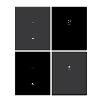 Тетрадь 48л., А5, клетка BG "Monocolor. Black. Concise", soft-touch ламинация, тиснение фольгой