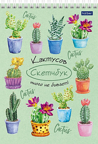 Блокнот SKETCHBook А5 80 листов Hatber без линовки жёсткая подложка на гребне 100 гр/м Кактусов Много не Бывает!  060699