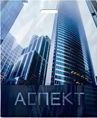 Пакет п/э ПР 50*60 см Аспект 100 мкм Интерпак