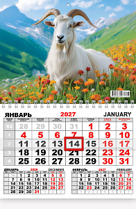 Календарь 2027 Шорт АССОРТИ