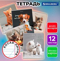 Тетрадь 12 л. BRAUBERG, косая линия, обложка картон, CATS AND DOGS, 107288