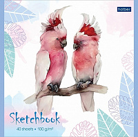 Блокнот SKETCHBook 40 листов 165Х165 мм Hatber Нежная акварель на скобе 100 г/м2  061126
