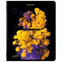 Тетрадь предметная HAZE 48л, глянцевая ламинация, ОБЩЕСТВОЗНАНИЕ, клетка, подсказ, BRAUBERG, 404759
