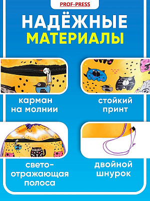 Мешок для сменной обуви Проф-Пресс 360*480 мм 1 отделение, с карманом и светоотражателем КОТИКИ И ПТИЧКИ  МО-4043