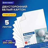 Картон белый А4 МЕЛОВАННЫЙ (белый оборот) 5 листов, BRAUBERG, 200х290мм, Код 1С, 116626