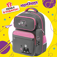 Рюкзак ЮНЛАНДИЯ COMPLETE с пеналом в комплекте, эрго-спинка, "Wonder cat", 42х29х14 см, 274431