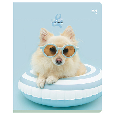 Тетрадь 48л., А5, линия BG "Lovely", микро sandy-touch лак