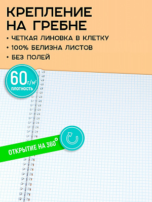 Тетрадь 96 листов A4 спираль клетка ПРОФ-ПРЕСС "МИНИМАЛИЗМ И ГУСЬ" обложка твин-лак  96-8361